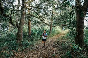 BIB: 
                            <button type="button" onclick="openModal(25663199)" class="btn btn-primary btn-sm float-right btn-popup" data-toggle="modal" data-target=".modal-high-quality">
                        <i class="fas fa-shopping-cart"></i> Add to Cart
                    </button>
                                            <button type="button" onclick="isThisMe(25663199, true)" class="btn btn-success btn-sm float-right btn-popup btn-isme hidden" data-toggle="tooltip" data-placement="bottom" title="นี่คือรูปของคุณใช่ไหม คลิกที่นี่เพื่อเอาเข้าอัลบั้ม">
                        <i class="fas fa-plus"></i> Add to album
                    </button>
                    <button type="button" onclick="isThisMe(25663199, false)" class="btn btn-warning btn-sm float-right btn-popup btn-isnotme hidden">
                        <i class="fas fa-ban"></i> Remove from album
                    </button>